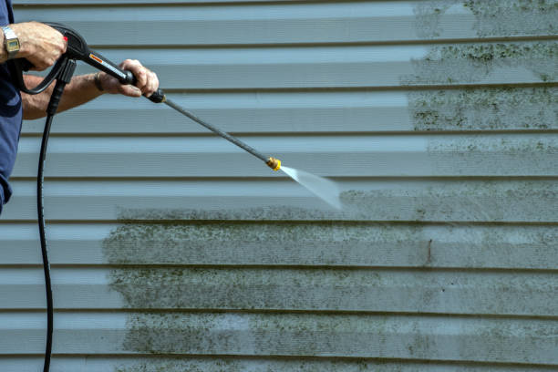 Best Fence Cleaning and Maintenance in Carbon Hill, AL